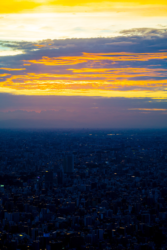 東京スカイツリー