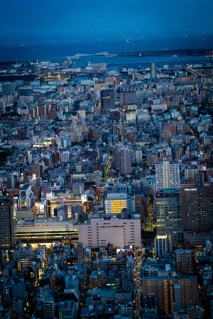 DSC02991