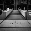 DSC00445