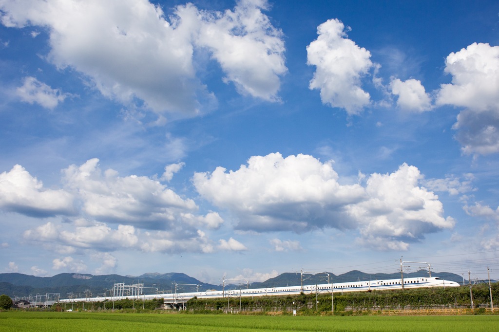 夏空と新幹線