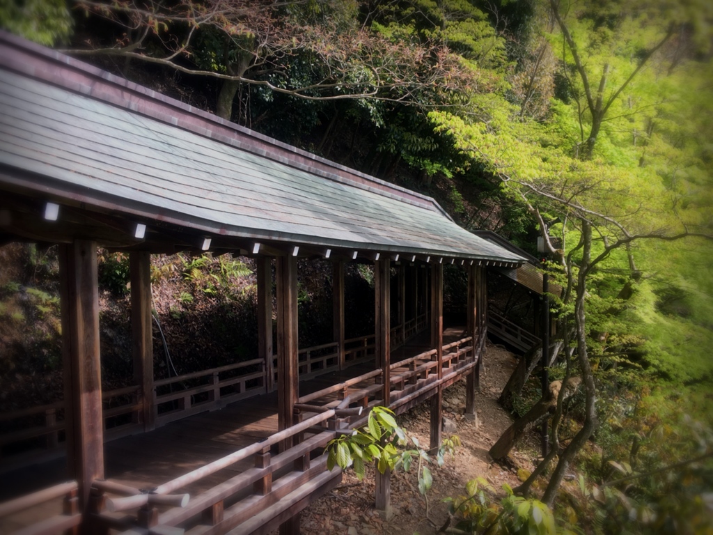 永観堂禅林寺2