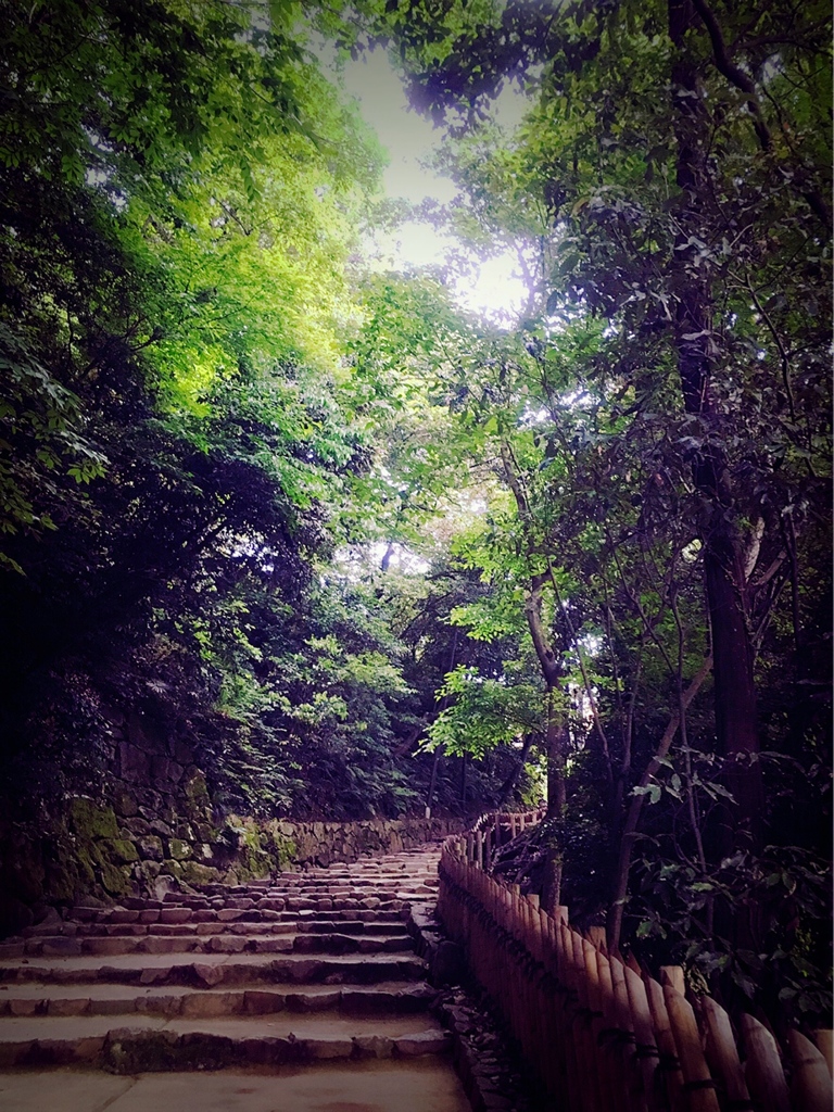 新緑の小路