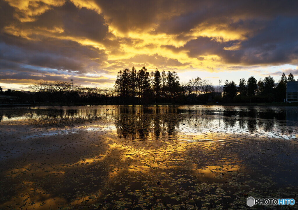 Dramatic Sunset