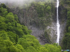 ハンノキ滝