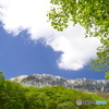 大山　2の沢からの眺め