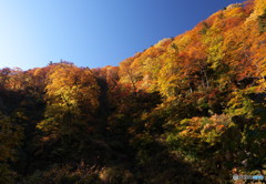 金屏風