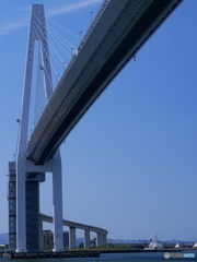 新湊大橋