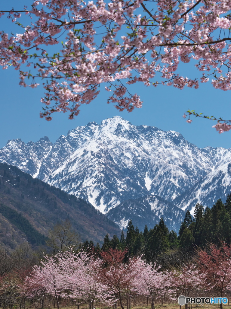 剱岳の春