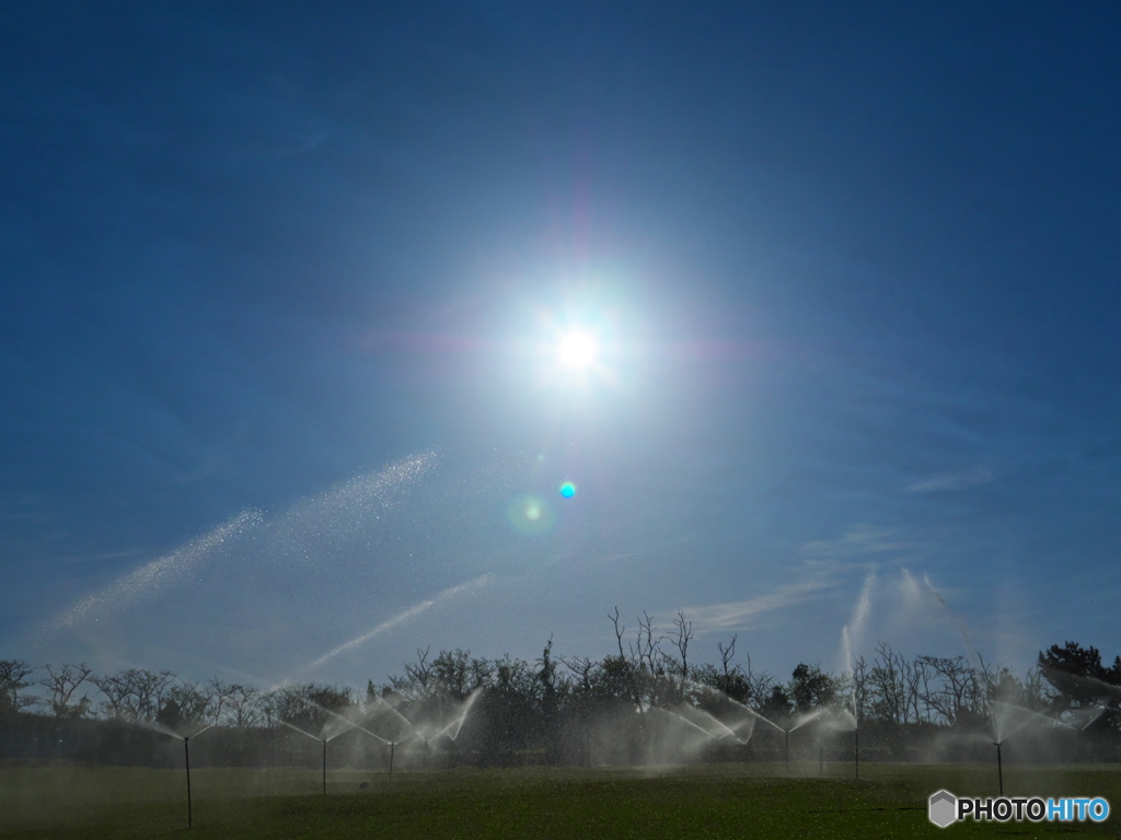 Sprinkler