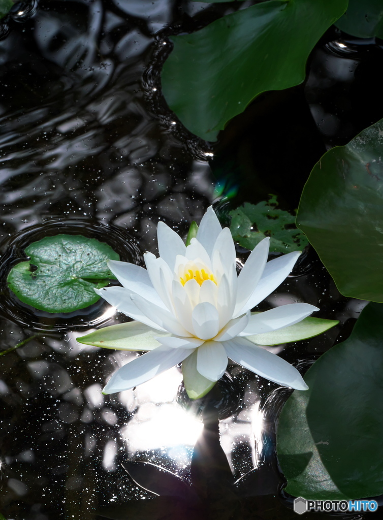 水鏡