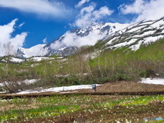 雲湧く白馬岳