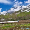 雲湧く白馬岳