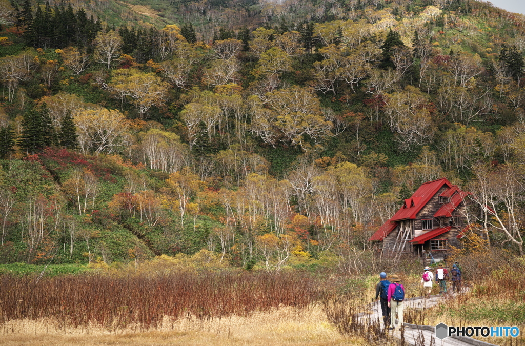 栂池自然園の紅葉 2022 ④