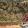 栂池自然園の紅葉 2022 ④