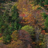 山肌の錦