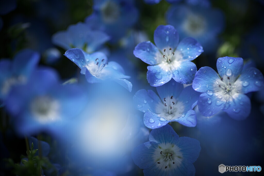 Refreshing blue