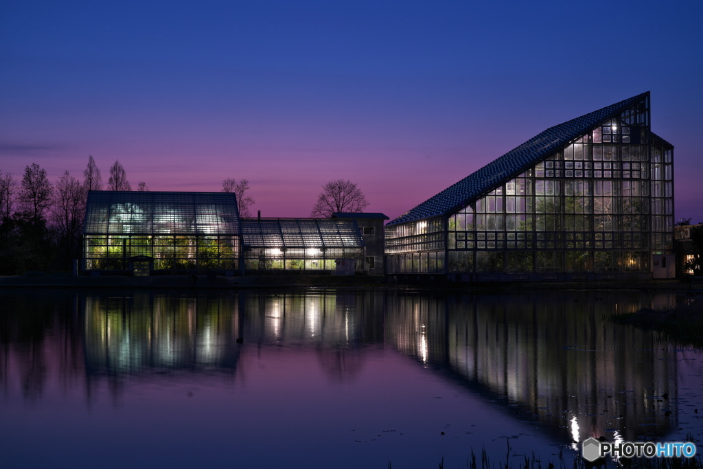 Twilight greenhouse