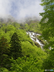 新緑のソーメン滝