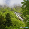 新緑のソーメン滝