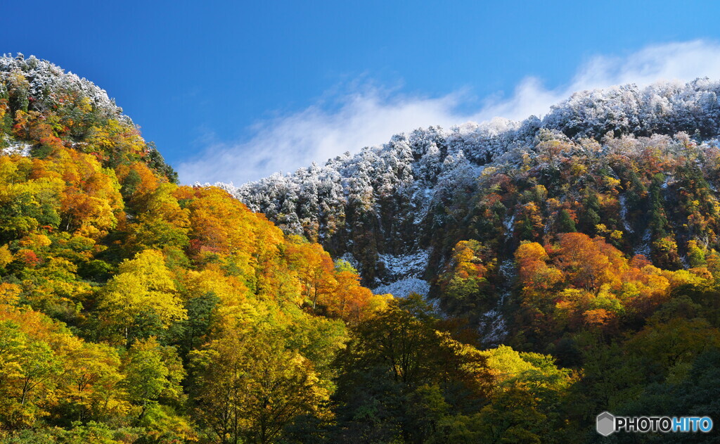 Frozen autumn ①