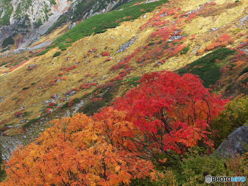 山肌の錦