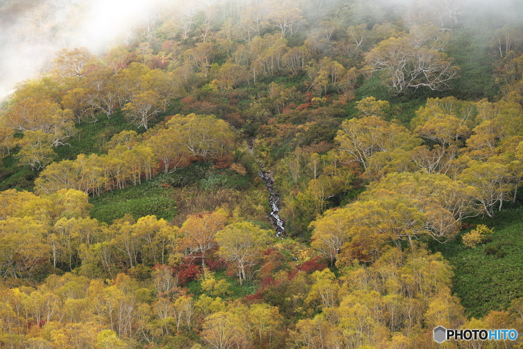 栂池自然園の紅葉 2022 ③