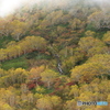 栂池自然園の紅葉 2022 ③