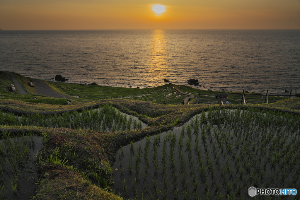 千枚田の夕べ