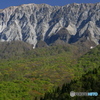 朝の大山