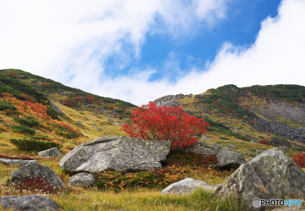 紅葉真っ只中 ①