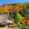 白川郷 明善寺の秋