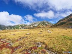 本日の立山 ②