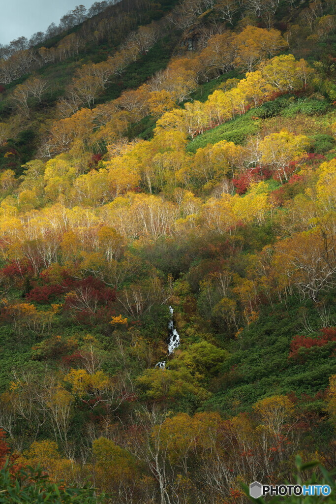 栂池の秋 ⑥