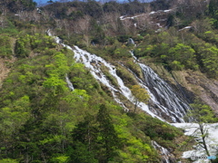 新緑とソーメン滝