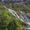 新緑とソーメン滝