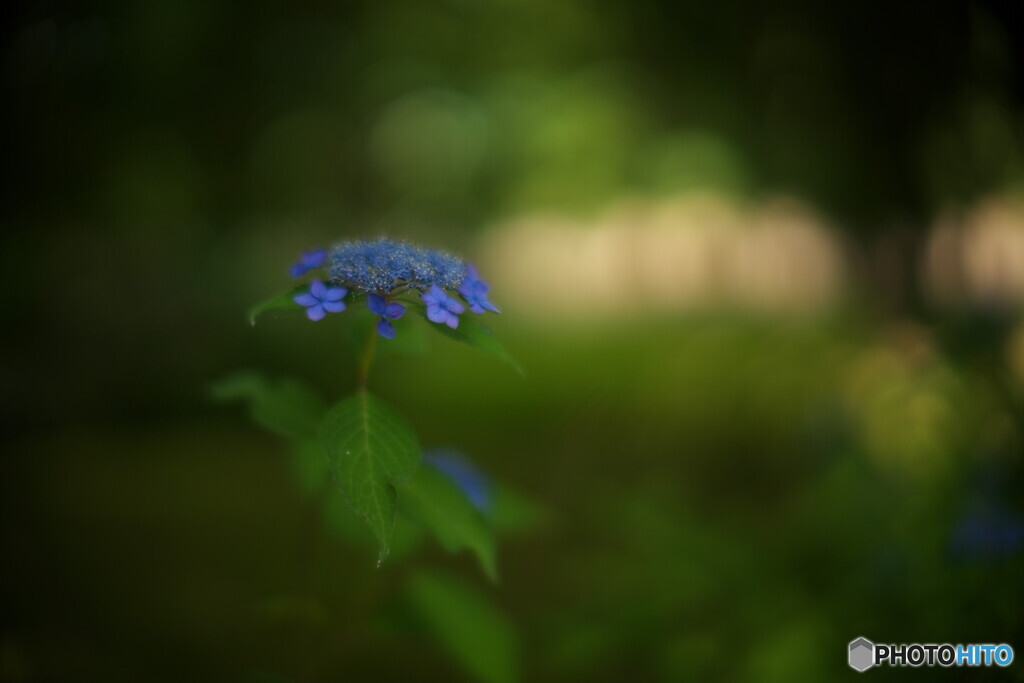 Blurred blue