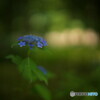 Blurred blue