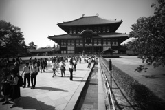 東大寺　大仏堂遠くから