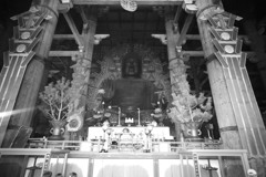 東大寺　大仏　正面