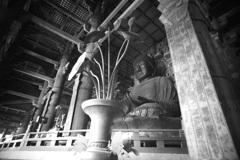 東大寺　大仏とロータス