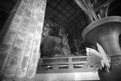 東大寺　大仏　左斜め