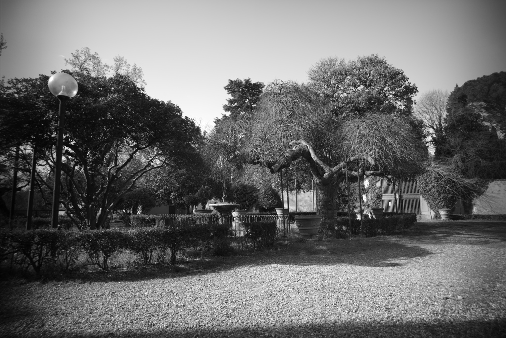 フレンツェホステルの庭
