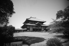 東大寺　大仏堂全景