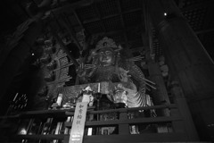 東大寺　大仏堂　観音