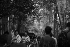 京都　嵐山　竹林を人力車で観光する人