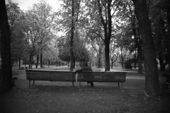 ポルタベネツィアの公園で / SuperAngulon 21/F4