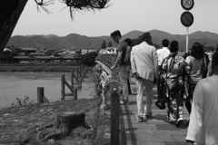 京都　嵐山　渡月橋からダイブ？
