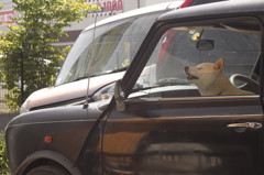 早く帰ってきてー