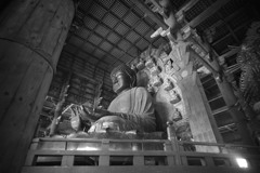 東大寺　大仏　左斜め