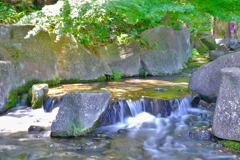 徳川園　滝